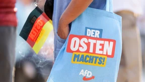 Was ein Drittel der Mandate für die AfD bedeuten könnte