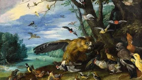 Der Kampf der bunten Vögel