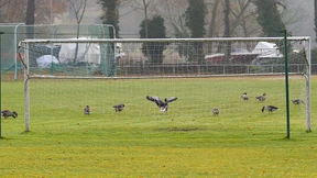 Keine Corona-Lockerungen für Sport bis 7. März