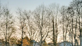 Warmbadetage werden selten