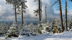 Schnee und Kälte im Mai