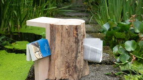 „Ich kenne quasi jeden Baum“