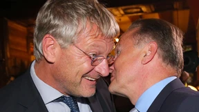 Meuthen sieht AfD 2017 im Bundestag