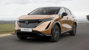 Endlich Freunde für den Leaf