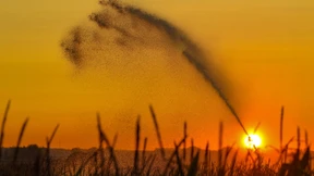 Warnung vor Wasserknappheit in Deutschland