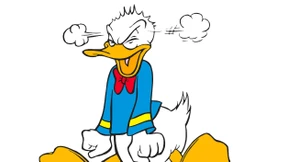 Nach dem Burnout kommt jetzt der Freakout