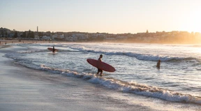 Australier surft mit Python und bekommt Geldstrafe