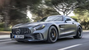 Direkt aus der grünen Hölle