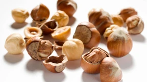 Auf den Spuren der Super-Nuss