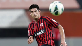 Frecher Hund im Ruhe-Modus