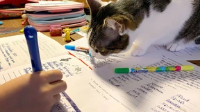 „Es geht nur noch ums Überleben“