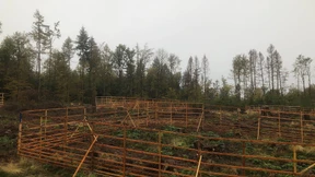 Holzgatter als Überlebenshilfe