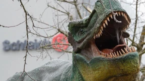 Kein Spielfiguren-Zusammenschluss