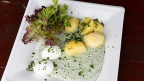 Die Frankfurter Grüne Soße wird knapp