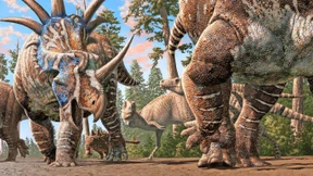 Verräterische Fußstapfen