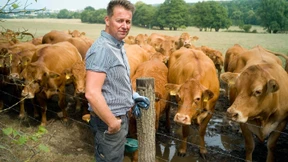 Zwei bis fünf Prozent einer sehr langen Geschichte