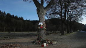 Das alles passt nicht zu unserem Freiburg