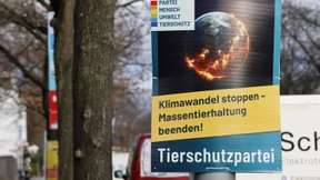 Warum die Tierschutzpartei ARD und ZDF verklagt