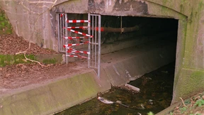 Ein blutiger Fingerabdruck und unzählige Spuren ins Nichts