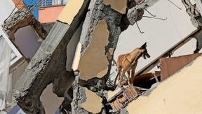 Man kann uns gut riechen