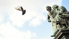 Wo kommt eigentlich Dornröschen her?