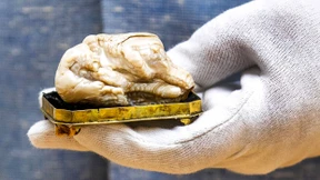 „Schlafender Löwe“ kommt für 320.000 Euro unter den Hammer