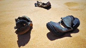 Was weiß der Stammtisch schon von Fluchthelfern?