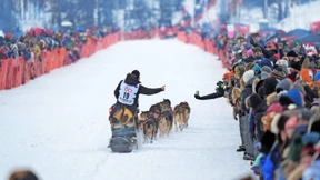 Mit Schlittenhunden durch Eis und Schnee