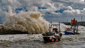 Frau im Harz von umstürzendem Baum getötet