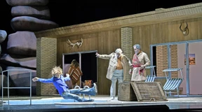 Um Schönheit betrogen