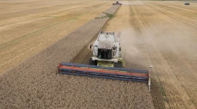 Selenskyj kritisiert EU-Importverbot