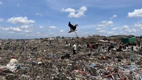 Auf der Suche nach dem Recycling-Sneaker