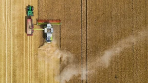 Trockenheit bedroht Ernte und Wälder