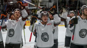 Löwen auf dem Durchmarsch