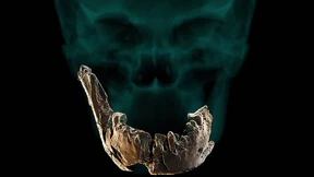 Knochen eines bisher unbekannten Urmenschen in Israel gefunden