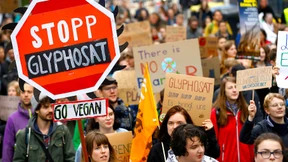 Monsanto finanzierte Glyphosat-Studien