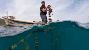Kroatische Fischer hoffen auf Grenzöffnung
