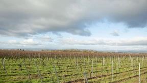 Wo Protest wirksam war