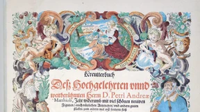 Ein Frankfurter Bücherschatz wird wiederentdeckt