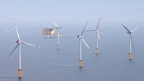 Vertreibt Windpark-Bau vor Sylt Schweinswale?