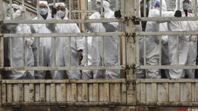 Was tun, wenn man jetzt Fieber hat?