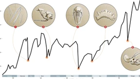 Die Zeit, der Planet und der Tod