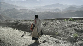 Jeder Dritte könnte 2070 unter großer Hitze leiden