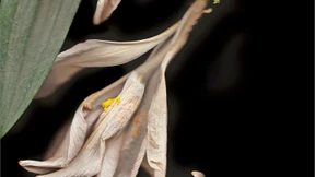 Die Wut tut ihr nicht gut