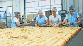 Wachstum mit Hanf-Keksen