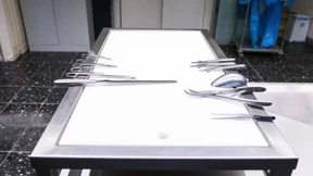 Spaziergänger findet verbrannte Leiche an Bundesstraße