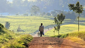 Rebellen für die Menschlichkeit