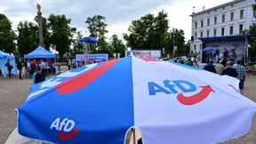 „Die AfD stellt eine Gefahr für Schwerin dar“