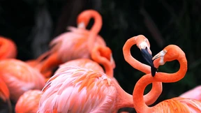 So lebt es sich nach der Natur