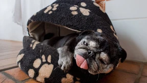 Welche Rechte Mieter bei Hitze in der Wohnung haben